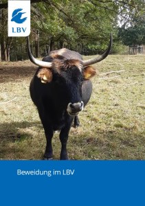 Beweidung im LBV