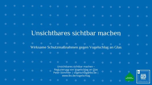 Schutzmaßnahmen gegen Vogelschlag