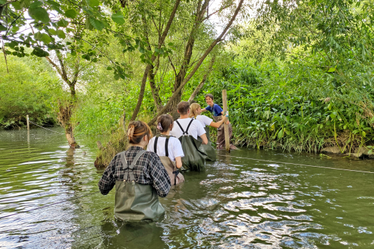 Eisvogelsteig | © Katharina Hubmann
