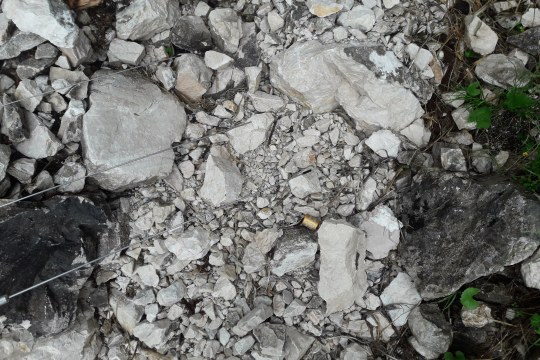 Die Fundstelle mit dem Beinring|© W. Palzer, LBV