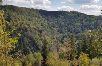 Höllental im Frankenwald | © Paul Kasko