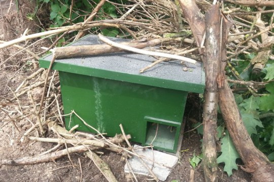 Igelhaus mit Ästen | © M. Meier