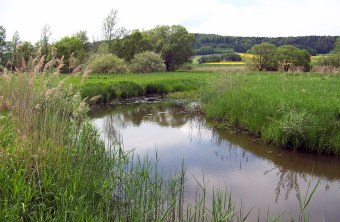 LBV-Schutzgebiet Schwarzarch | © Paul Arnold