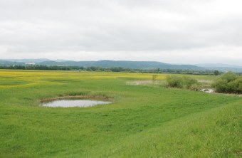 LBV-Schutzgebiet Pfatter Au | © Eva Schubert