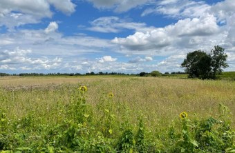 Günzburg | © Linda Zengerle (Günzburg)