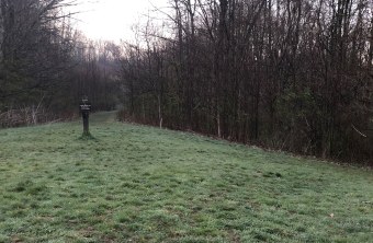 Ohio | © Dawn Chorus