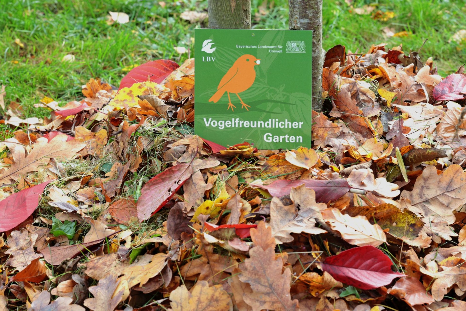 LBV-Plakette "Vogelfreundlicher Garten" im Herbstlaub | © Peter Bria