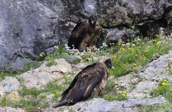 Recka hinten und Dagmar vorn | © Markus Leitner