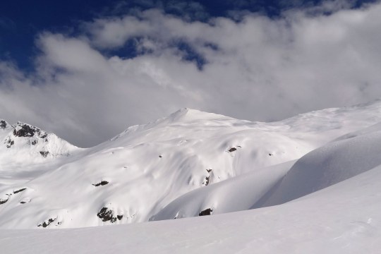 In der Rotondogruppe |© D. Schuhwerk