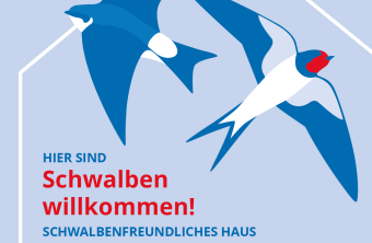 LBV-Plakette für ein schwalbenfreundliches Haus