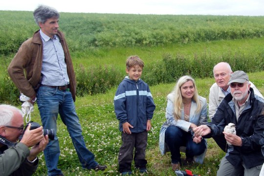 Landwirt Hümmer mit Sohn, Staatssekretärin Melanie Huml und LBV-Vorsitzender Ludwig Sothmann (von links) beobachten den ehrenamtlichen Wiesenweihen-Schützer Heinz Schrank (rechts) bei der Beringung einer jungen Wiesenweihe | © H. Vorberg