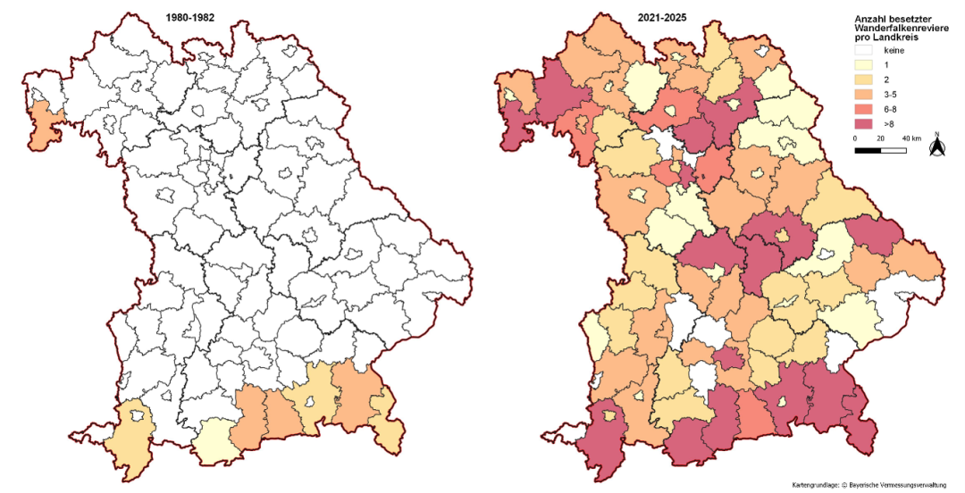 Verbreitung des Wanderfalken in Bayern beim Start des Artenhilfsprogramms 1982