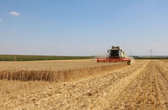 Ein Traktor fährt über den Acker und erntet die Restfläche | © H. Heinritz