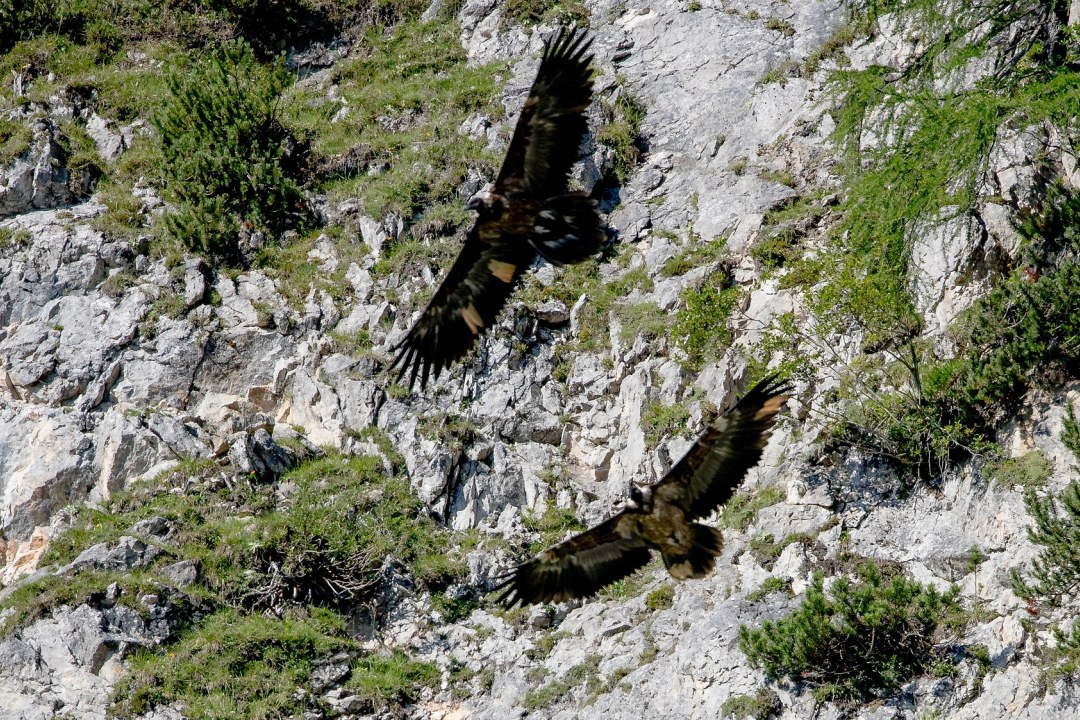 Bavaria und Wally Flug | © Richard Straub