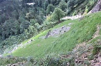 Dagmar fliegt an der Nische vorbei |© Screenshot LBV Webcam