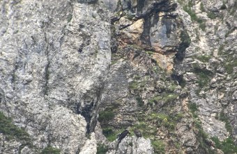 Generl und Luisa in der Halsgrube am 09.07.25 | © Astrid Theby