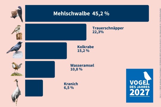 Wahlergebnis Vogel des Jahres 2027