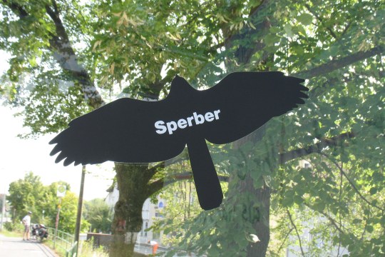 Greifvogelshilouette an einem Fenster | © Sylvia Weber