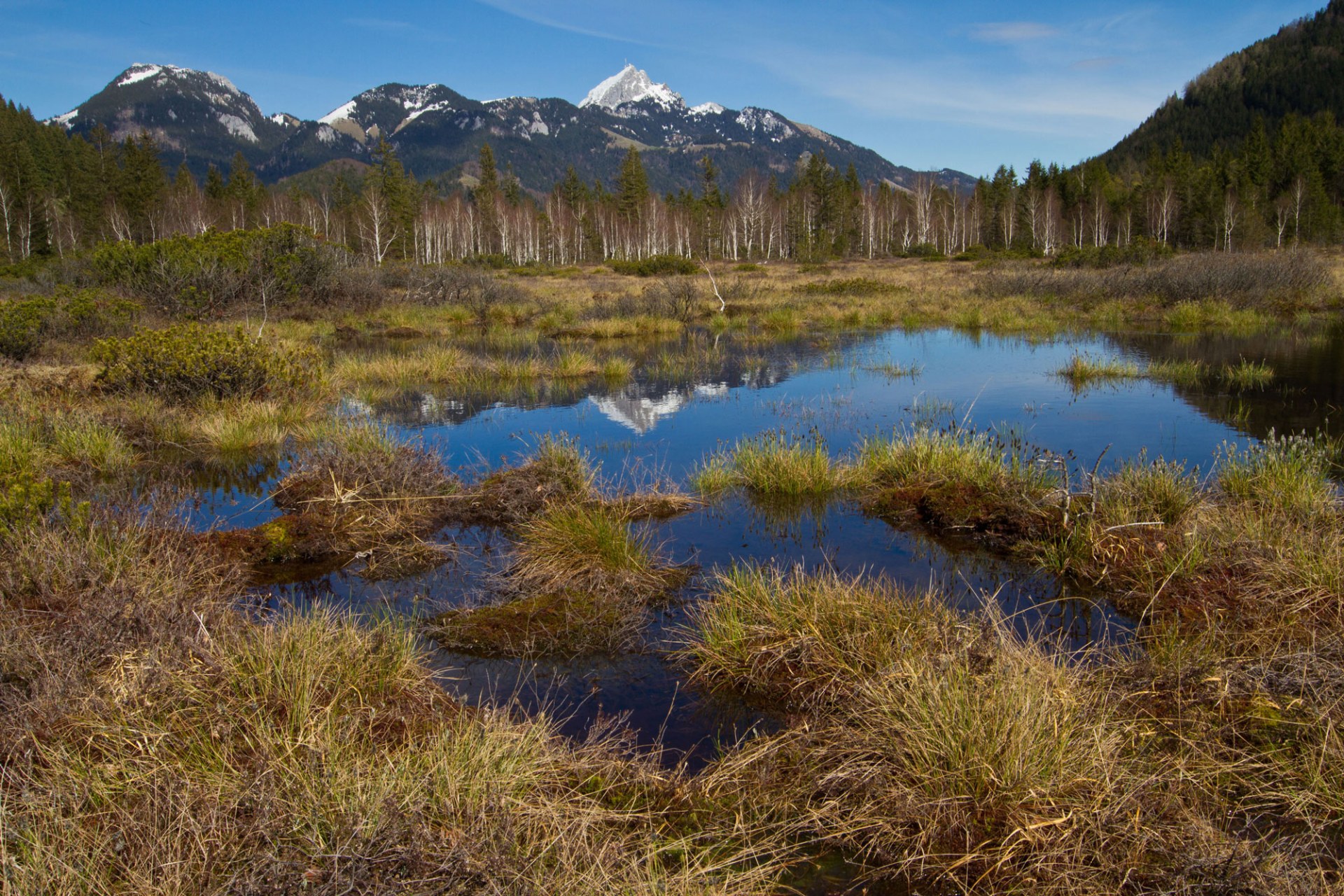 Hochmoor | © Andreas Hartl