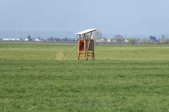 Jaegersitz mitten auf einer Wiese | © Johnnes Ruf