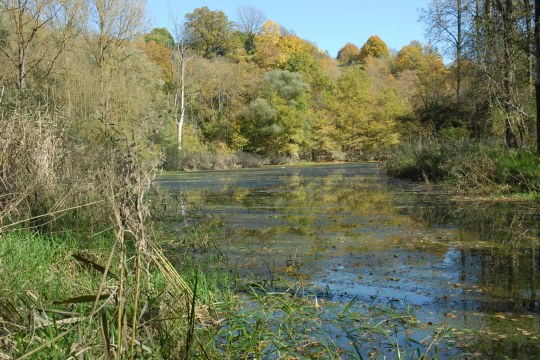 Donauauen | © Dr. Pfeuffer