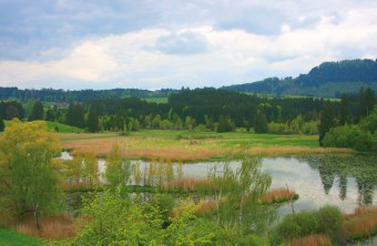 LBV-Schutzgebiet Widdumer Weiher | © Julia Römheld