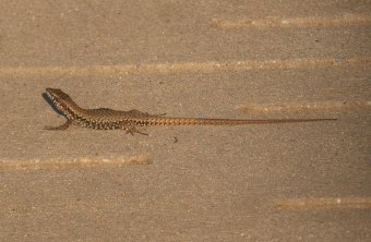 Stadt München | © Marion Ems (Stadt München)