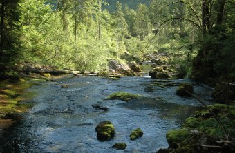 Gewässer | © Eva Schubert