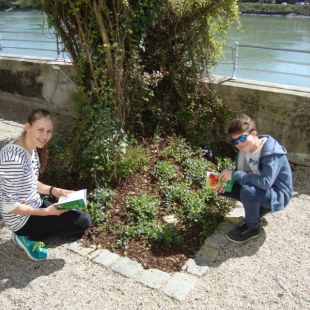 Schulgarten-Wettbewerb 2016 Gymnasium Leopoldinum Bestimmungsübung | © Gymnasium Leopoldinum