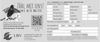 Zeitungsmeldebogen grau 189x80