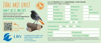 Zeitungsmeldebogen bunt 189x80