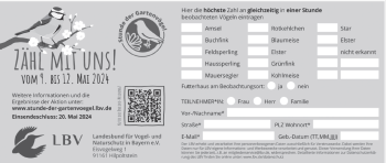 Zeitungsmeldebogen grau 189x80