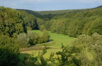 Ausschnitt des Steigerwalds | © Thomas Stephan