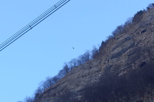 Wally kommt im Salzachtal derzeit gut zurecht | © Silke Moll
