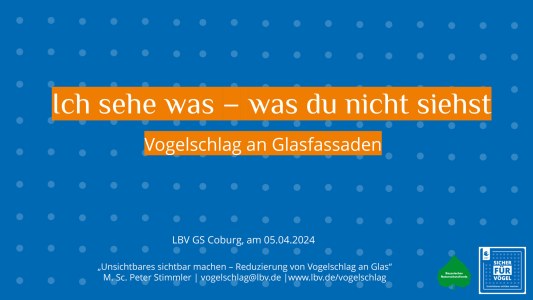 Präsentation Vogelschlag