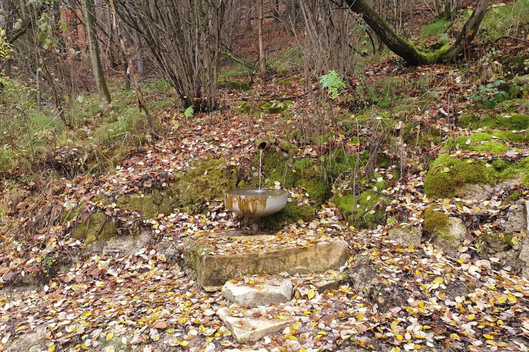 Zerstörter Quellbach Drügendorf | © Eva Schubert
