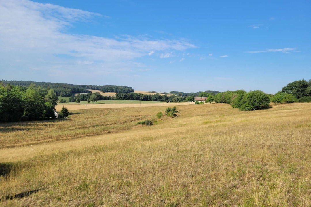 Ausgleichsfläche in Bruckberg bei strahlendem Sonnenschein, weite Landschaft mit Büschen und Bäumen am Horizont. Man sieht blauen Himmel. Ein Haus steht in der rechten Ecke | © Laura Kast