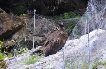 Dagmar schaut in die Kamera | © Markus Leitner
