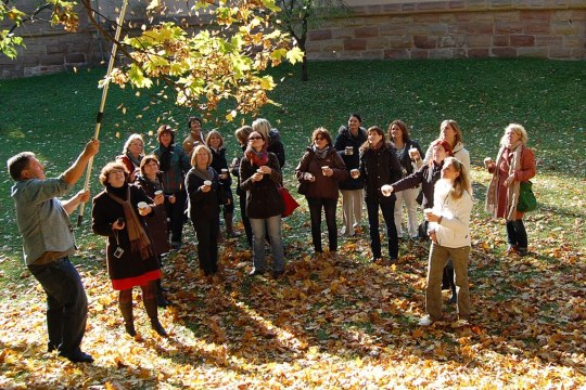 Fortbildung Umweltbildung Wildnisküche LBV | © Heike Fischer