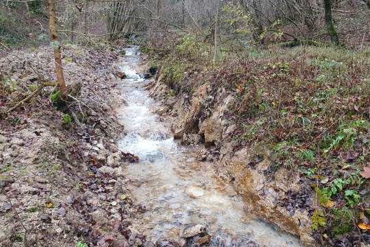 Ausgebaggerte Quelle - Eggerbach | © Eva Schubert