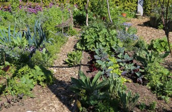 Gemüsegarten | © Peter Bria