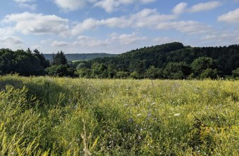 Nürnberger Land | © Gisela Schuster (Nürnberger Land)