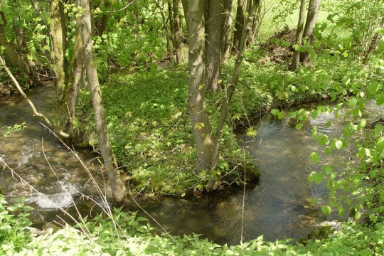 Karte einer Wanderroute im Kainsbachtal | ©Zoran Jokic