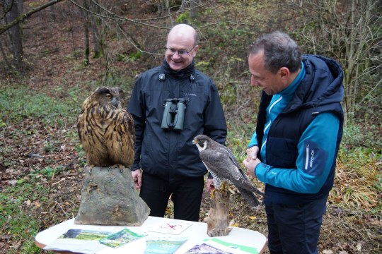 Dr. Norbert Schäffer und Umweltminister Thorsten Glauber vor einem ausgestopften Uhu und einem Wanderfalken | © StMUV