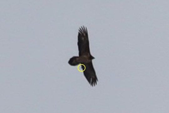 Dagmar oder Begleitung  |© Petra Schad