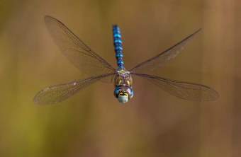 Oberfranken | © Urs Leuthäusser (Coburg)