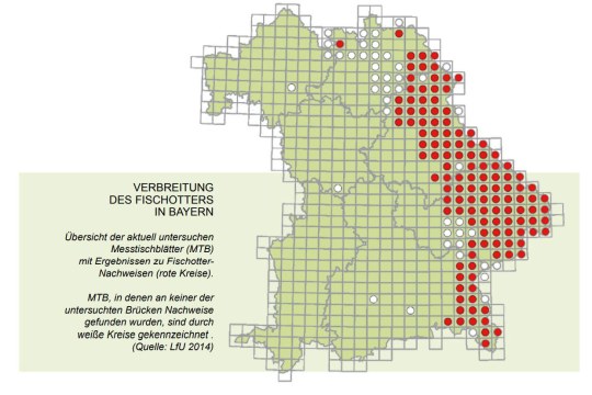 Verbreitung des Fischotters in Bayern, man sieht viele rote Punkt in ganz Ost-Bayern entlang der Landesgrenze, was sein Vorkommen markiert | © LfU
