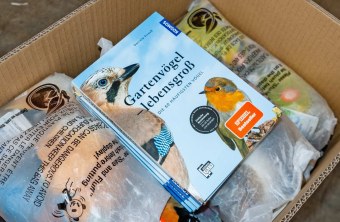 | © Katharina Hubmann