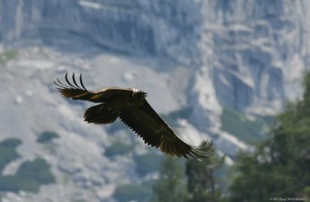 Wally-6106 | © Michael Wittmann