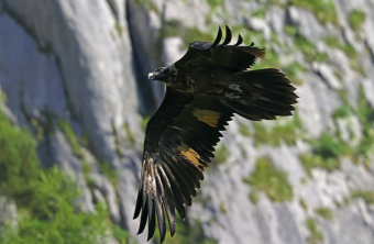 Wally_Licht-Schatten | © Markus_Leitner